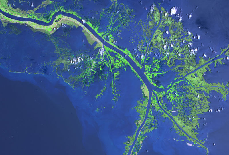 The tattered mouth of the Mississippi River, via NASA Earth Observatory